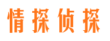 类乌齐市婚外情调查